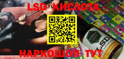 амф Камышлов