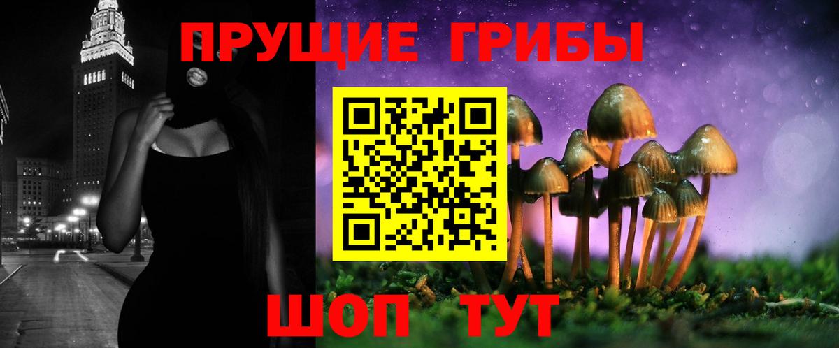 Галлюциногенные грибы MAGIC MUSHROOMS  дарнет шоп  Вход с VPN  Чапаевск  Галлюциногенные грибы Cubensis 